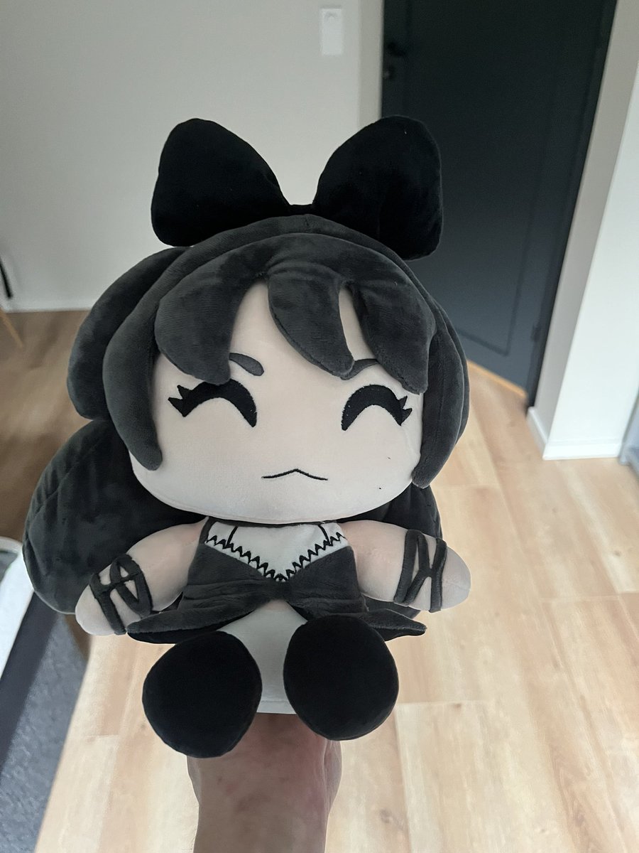 NanoSpiritboy's tweet photo. My YOUTOOZE plushie of Blake Belladonna from RWBY has finally arrived after so long it’s so big and squishy OMG I LOVE IT! https://t.co/j9cMlUNscm