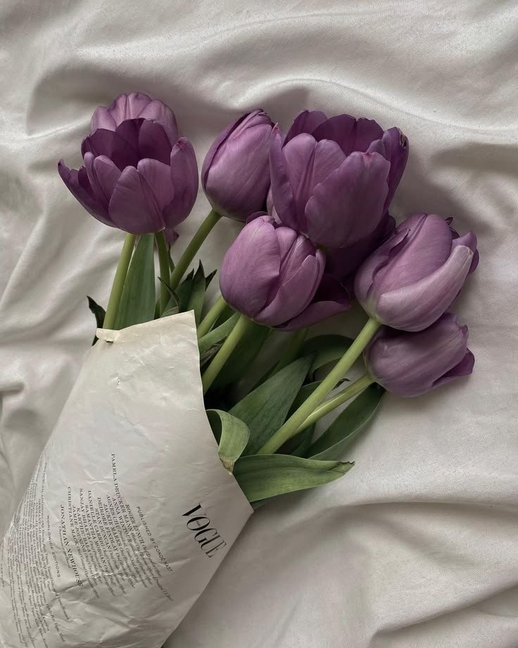 dreamyflowerrs's tweet photo. purple flowers 💜 https://t.co/oNqxZmBfLr