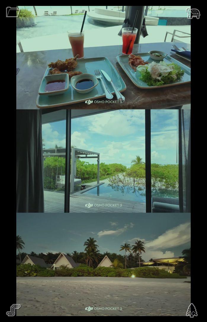 UuuuuKC283's tweet photo. Refined cuisine transforms everyday moments into cherished recollections. Each thoughtfully prepared dish preserves the lovely snapshots of our routine existence. A parrot struts along, humming a cheerful tune. https://t.co/RoQJnbG867