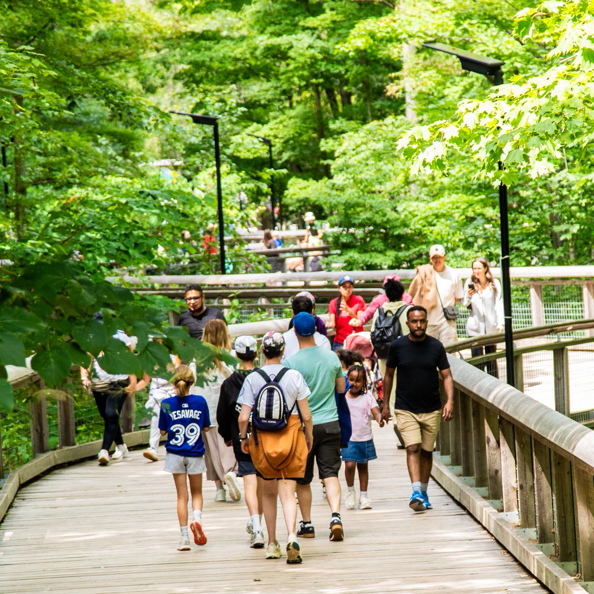 TheTorontoZoo's tweet photo. Take Learning Into the Wild This School Year 🍎🐾

As classrooms come alive again this fall, your Toronto Zoo is inviting educators to take learning beyond four walls and into a living classroom where students can visit, learn, explore and behold the wonder of wildlife and conservation science 🔬

Make your Toronto Zoo part of your classroom this year and discover more at https://t.co/Z5kCN4ehbN 📚

Learn more ⬇️ #GuardiansGrowHere
https://t.co/jI84ux1FNI