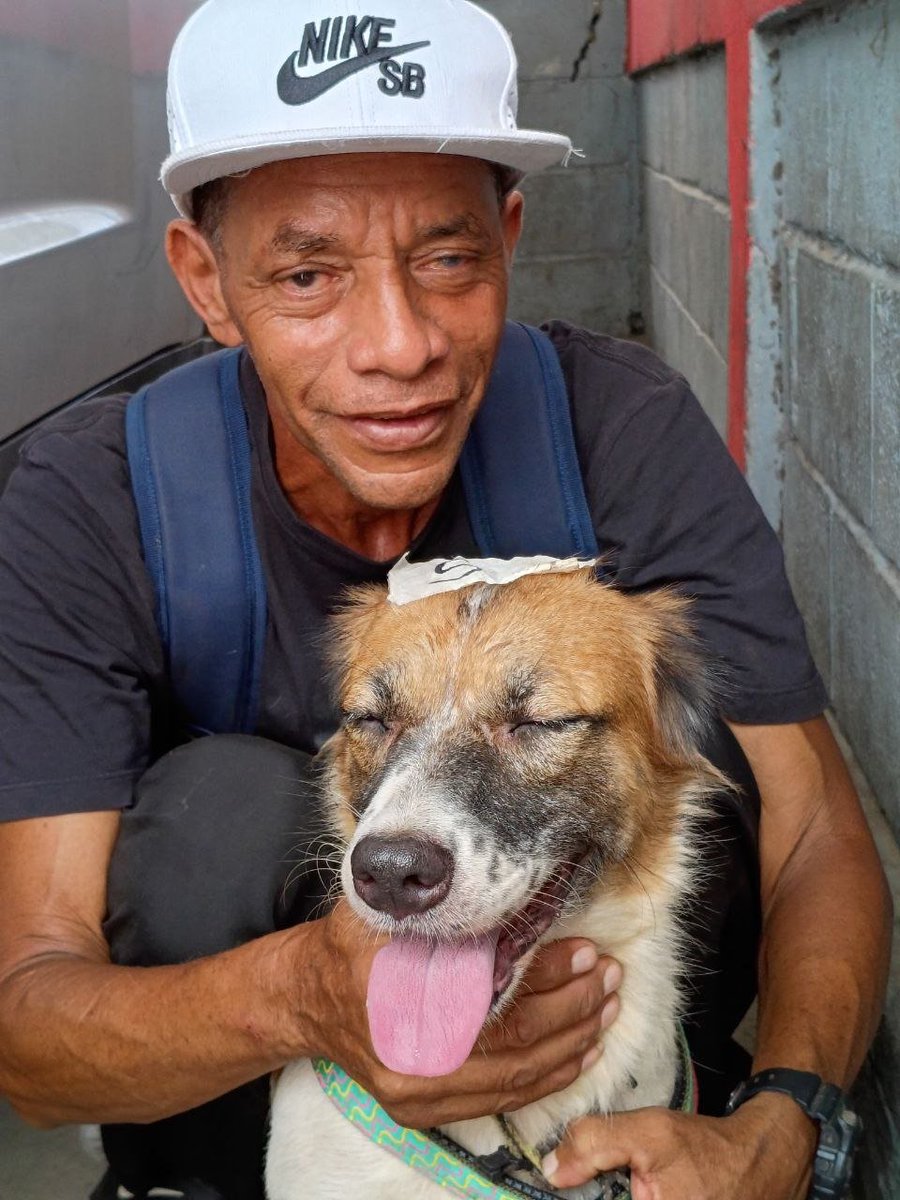 apoyocanino's tweet photo. Continuamos en la Guaira ayudando a los animales
Estas jornadas gratuitas de esterilización se realizan de forma sistemática, activando mecanismos de responsabilidad y solidaridad colectiva y existen gracias a sus donativos a la RAC
#JuntosSalvamosVidas
#SomosRAC
#RAC https://t.co/WF553qNWY4
