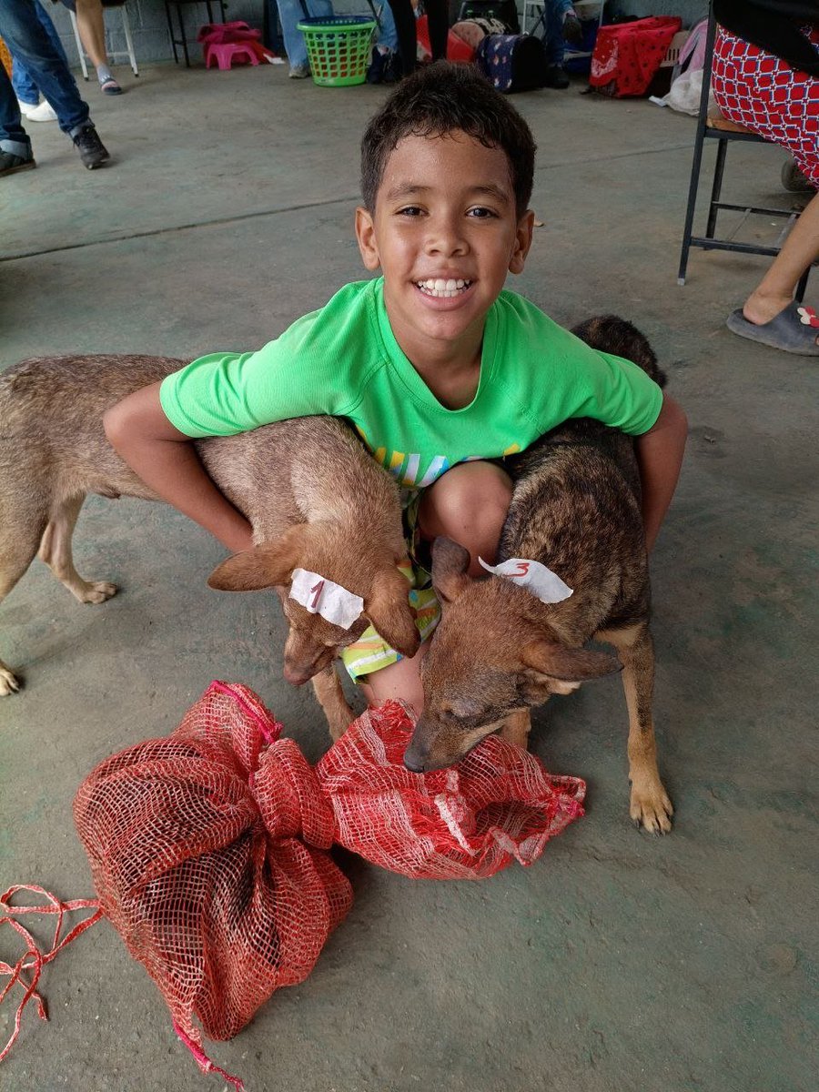 apoyocanino's tweet photo. Continuamos en la Guaira ayudando a los animales
Estas jornadas gratuitas de esterilización se realizan de forma sistemática, activando mecanismos de responsabilidad y solidaridad colectiva y existen gracias a sus donativos a la RAC
#JuntosSalvamosVidas
#SomosRAC
#RAC https://t.co/WF553qNWY4