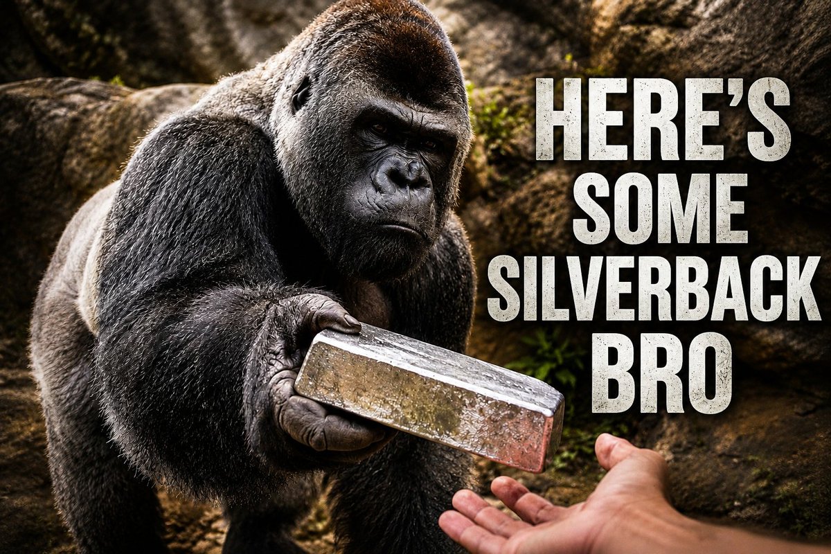 Silverback_hood's tweet photo. $SILVERBACK is one of those narratives that just makes too much sense.

We already have Gold Goose. We already have Copper Inu. But Silver was still completely missing from the picture.

That’s where $SILVERBACK comes in.

A silverback gorilla, with SILVER literally in the name, that rewards holders with silver. You hold SILVERBACK and you get SILVER back.

It basically writes itself.

Gold. Silver. Copper.

The three main metals finally have their own narrative, and $SILVERBACK fills the one obvious gap that was still left open.

Now on Robinhood.