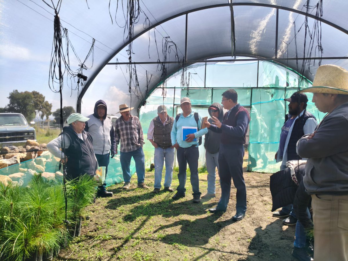CONAFOR's tweet photo. 🌱45 integrantes del ejido San José Nanacamilpa en Tlaxcala, participaron en el primer curso del proyecto “Recolección y beneficio de semilla nativa para la producción de planta en viveros forestales”. https://t.co/ciziOA7ROd