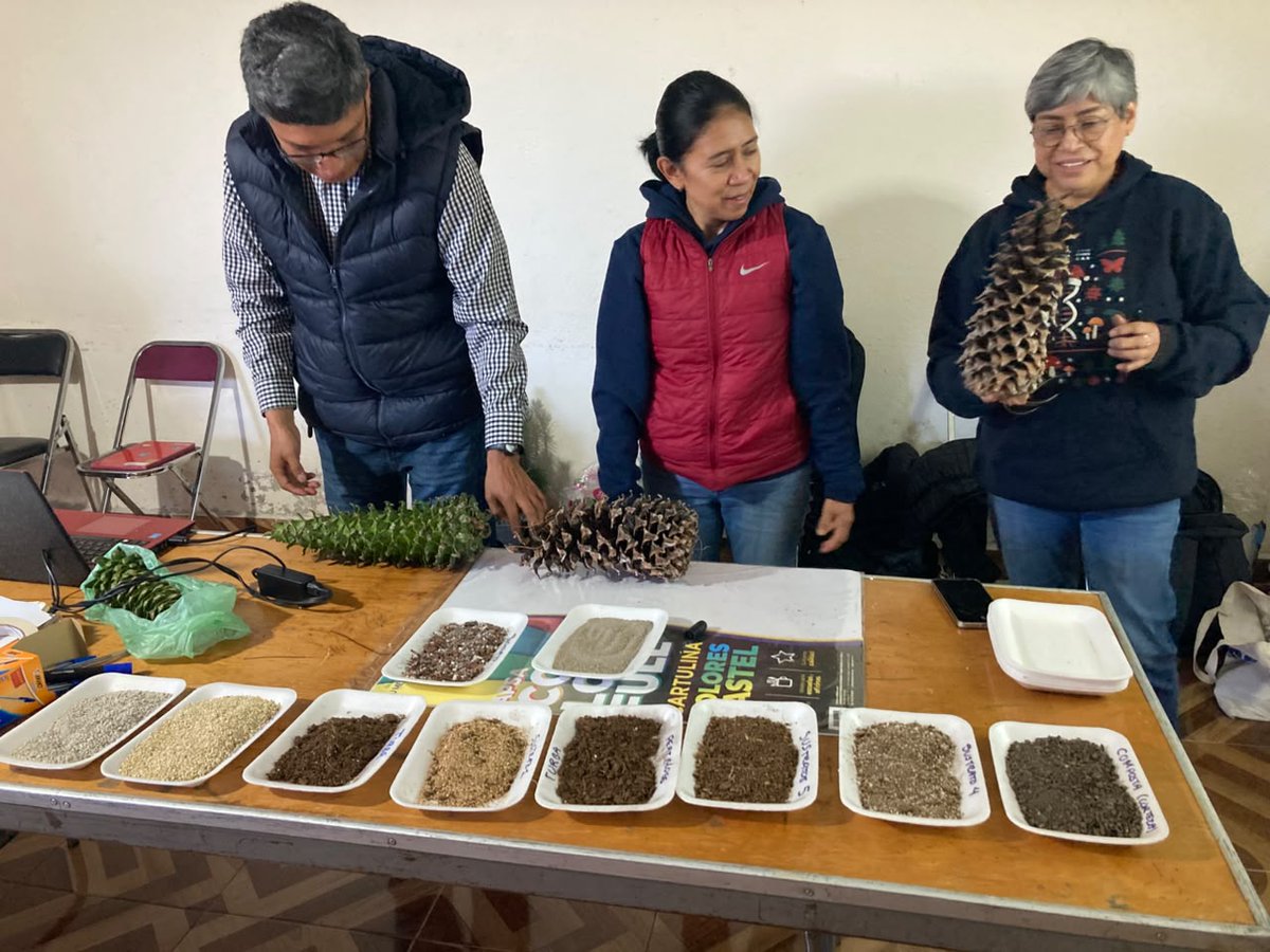 CONAFOR's tweet photo. Esta iniciativa es resultado de la colaboración entre la Secretaría de Investigación Científica y Posgrado de la UATx y la CONAFOR en Tlaxcala, que une el conocimiento universitario con los saberes y necesidades de las comunidades. https://t.co/Vax5fXreY1