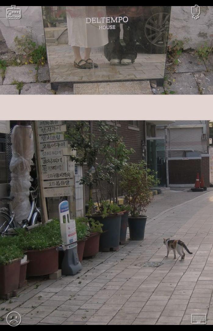 omar_qro's tweet photo. As the hours slipped by, the café gradually came alive with a steady stream of patrons—loyal regulars, curious newcomers, families, and old companions—each drawn not only by the aroma of freshly prepared dishes but also by the cozy atmosphere and the sense of belonging it off https://t.co/eWnhqjv0IU