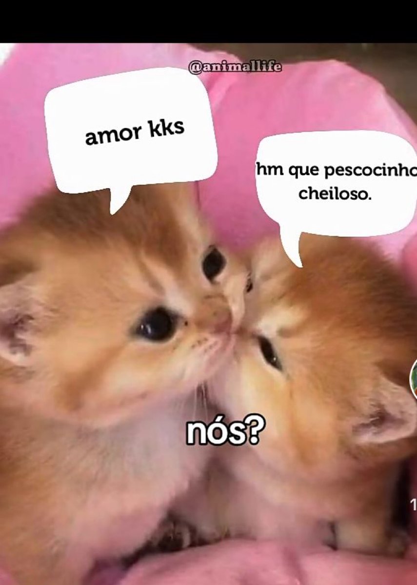 relacionemos's tweet photo. https://t.co/CIZJUyFfJi