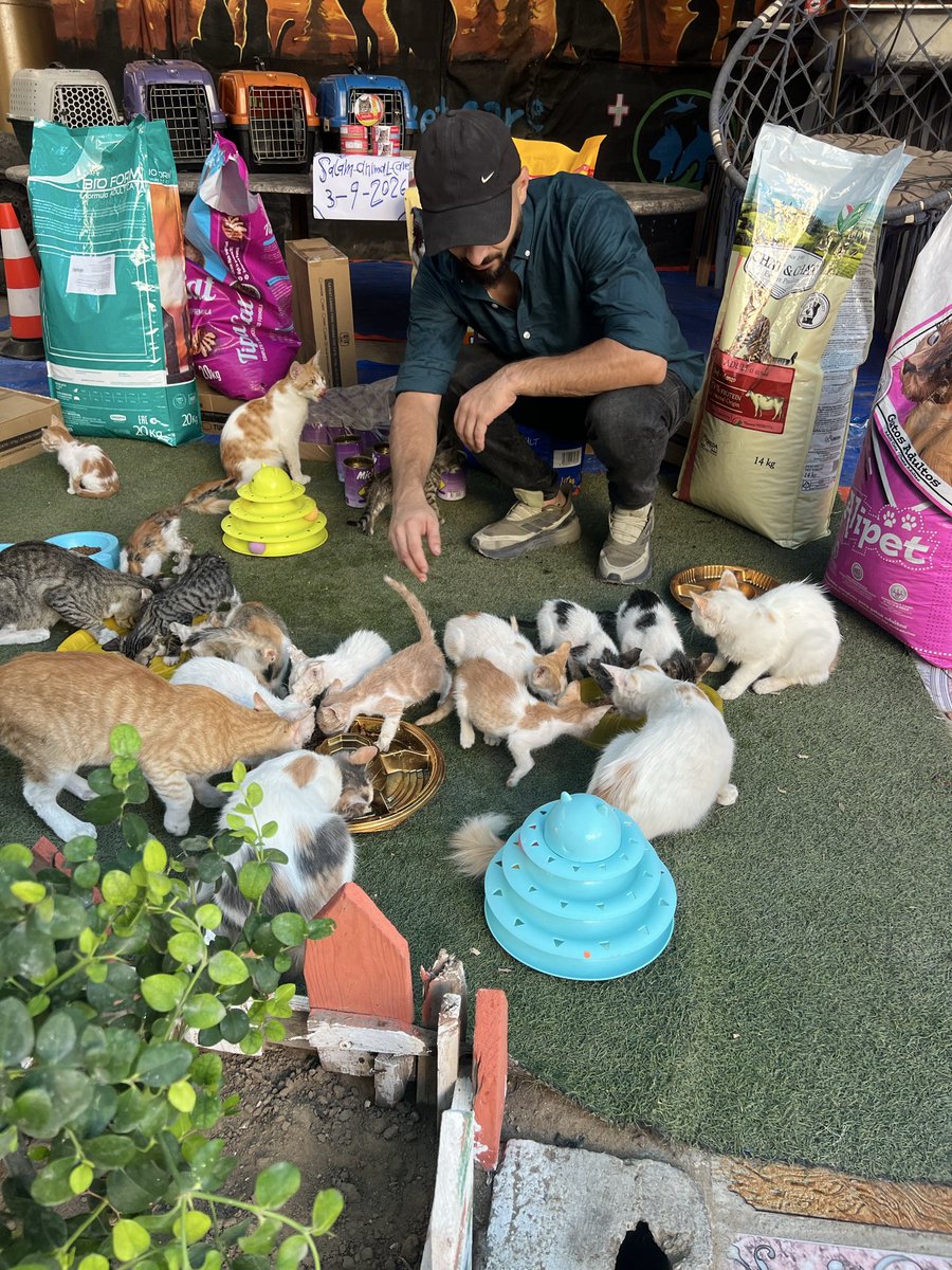 RescueCare's tweet photo. Yesterday, nearly 15,000 people saw our animals celebrating the return of water—but not a single donation came to help us provide their food.💔

Today, I faced two choices: let the shelter animals go hungry, or take their food on credit.

After the water crisis exhausted everything we had, I went to the store completely worn out. The shopkeeper trusted my word and gave me the food, but I must repay the full cost within one week.

I chose the debt because I could never choose their hunger.

Tonight, their bowls are full. Please, friends, help us turn this relief into safety—not another debt we are struggling to repay.🙏🐾

PayPal:
https://t.co/eL95czBcm6

GoFundMe:
https://t.co/hYA2hXUDDU

#Gaza #AnimalRescue #SaveAnimals