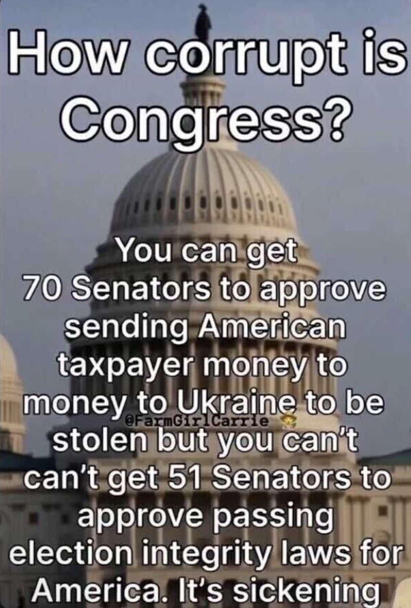 MAGAVoice's tweet photo. CORRECT 🎯 https://t.co/5lzwdIIcIJ