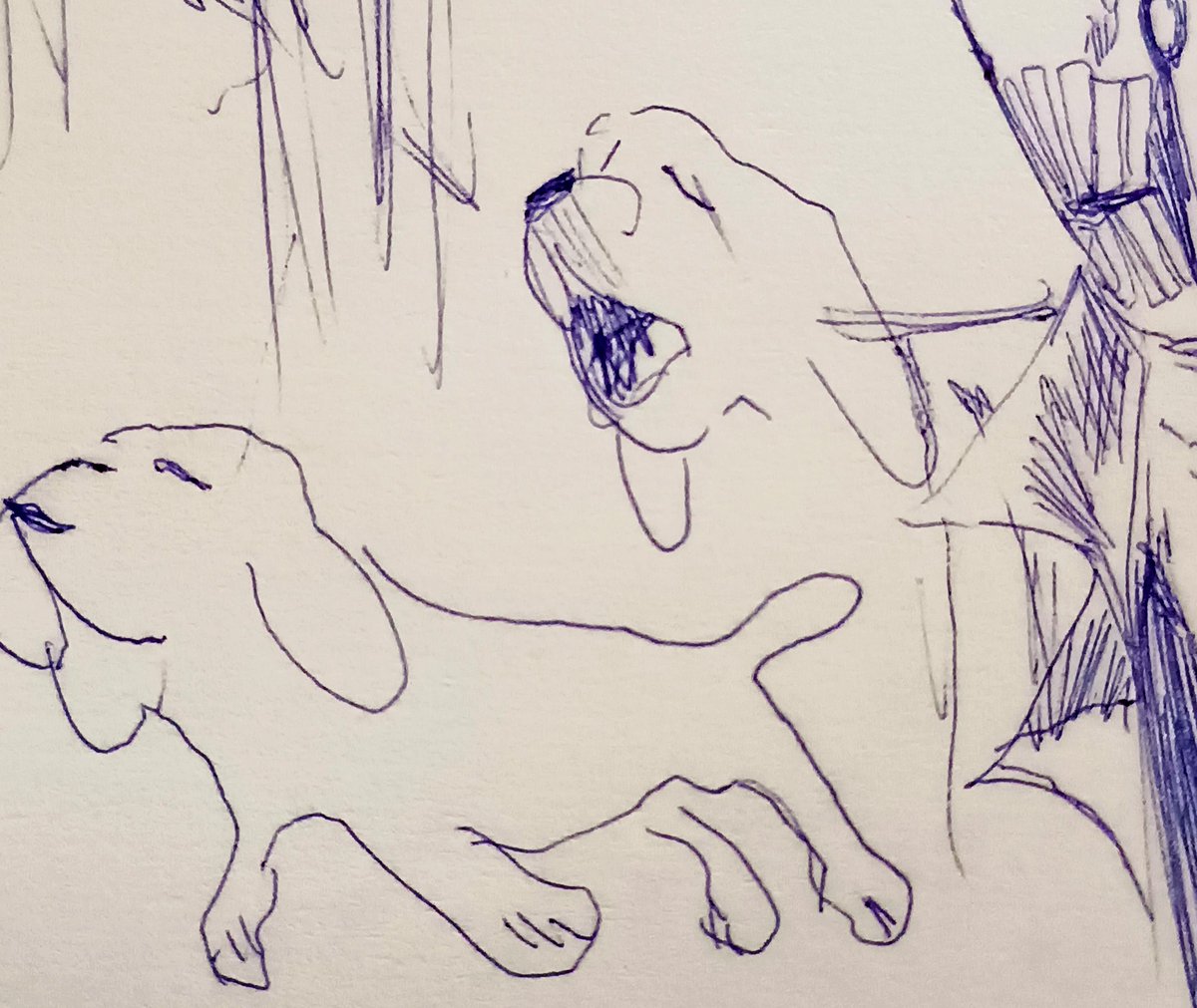 CishA97545's tweet photo. Really good dog i just drew https://t.co/ZPWNcjVR2J
