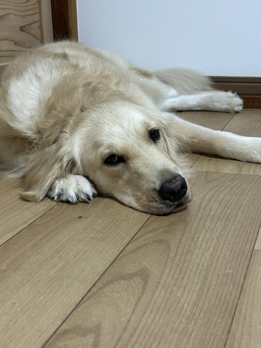 monhan003's tweet photo. こうしてたのが、
こう来て、
こう🥰 https://t.co/1nsN9DZK7i