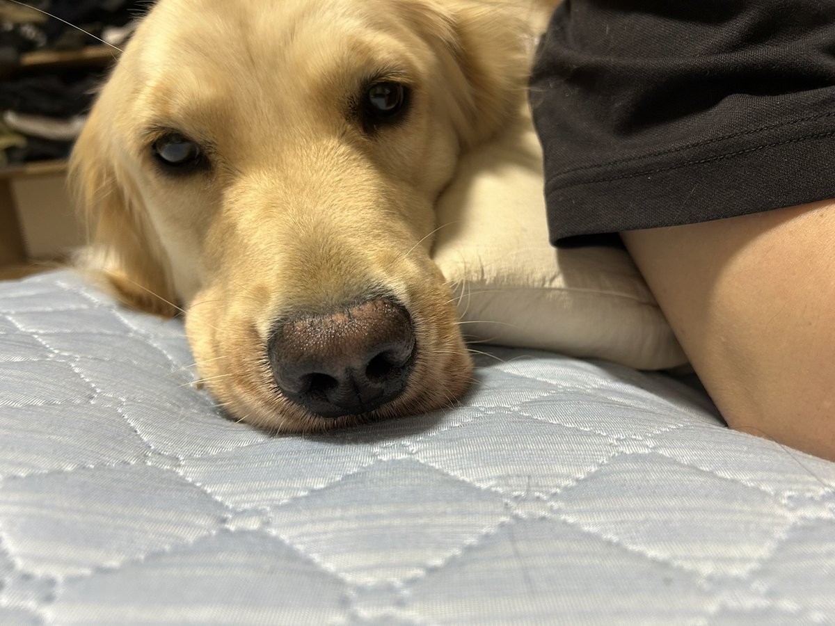 monhan003's tweet photo. こうしてたのが、
こう来て、
こう🥰 https://t.co/1nsN9DZK7i