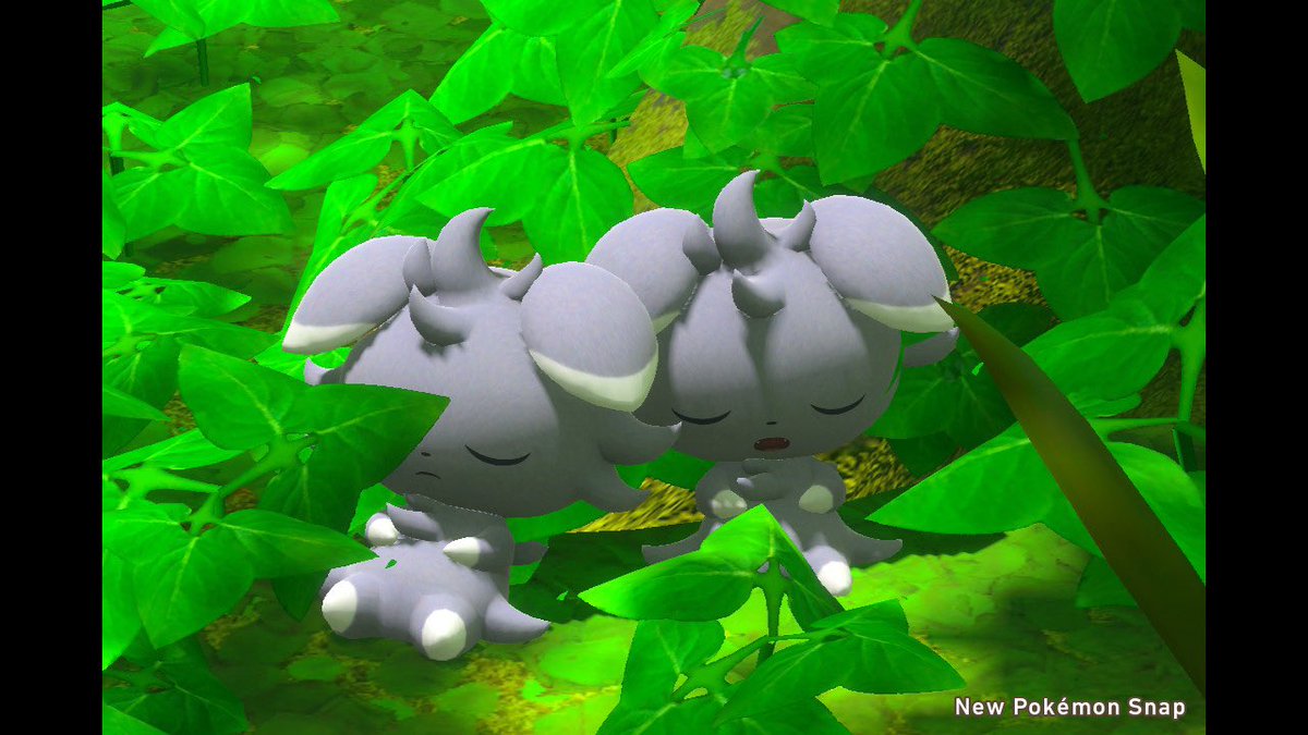 risasa00415's tweet photo. ポケモンスナップ
癒し~☺︎ https://t.co/JKJq6o0KDa