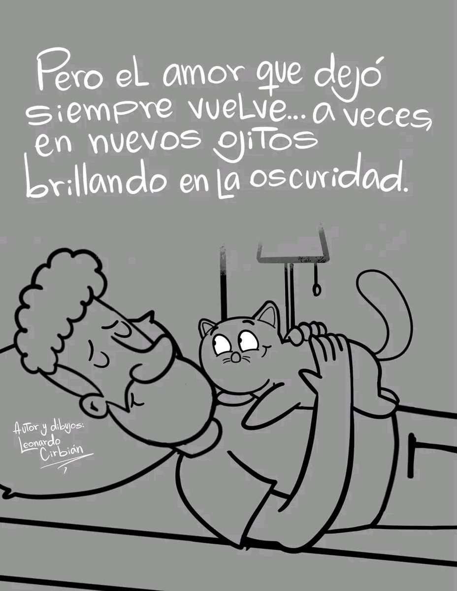 Tiofelino's tweet photo. https://t.co/DEzGUOgp1f