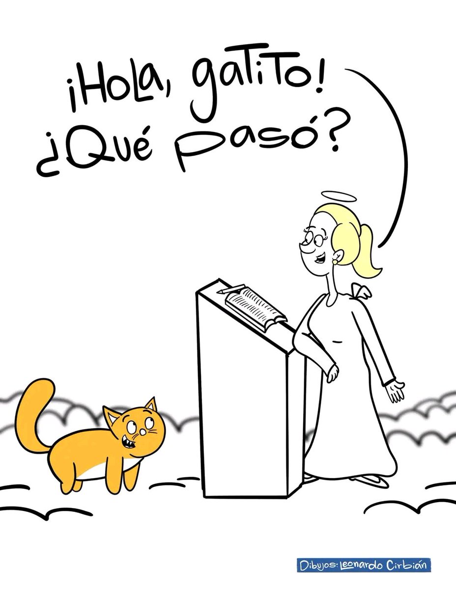 Tiofelino's tweet photo. Acompañe a ver este hermoso hilo. 🌧️🐱🐾.

* Créditos en las imagenes https://t.co/SQSMJYlnJp