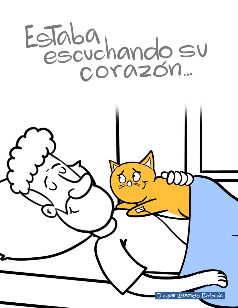 Tiofelino's tweet photo. https://t.co/8xhULhjnYu