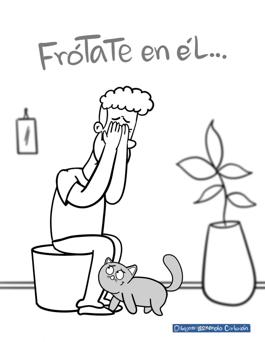 Tiofelino's tweet photo. https://t.co/rLkeliZokZ