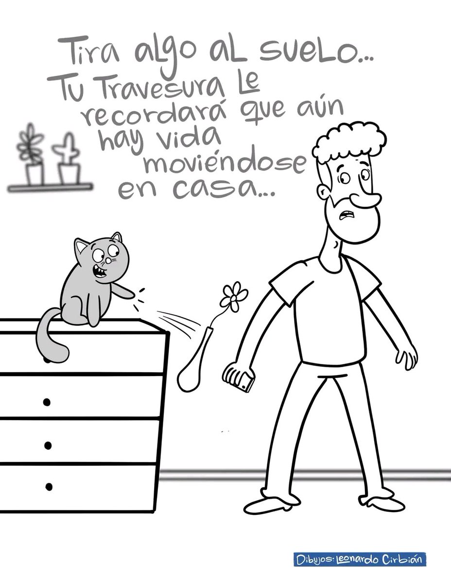 Tiofelino's tweet photo. https://t.co/DEzGUOgp1f