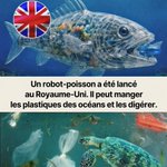 Photo by Sénégal Écologie Attitude (@senecoattitude)