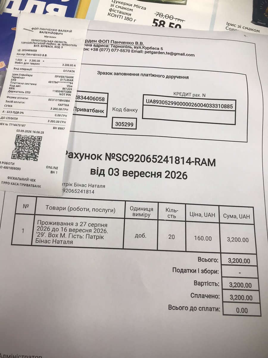 binas1976's tweet photo. Провідав Патріка в котоготелі 
Оплатив за перебування за 20 днів 3200 грн
Котик почуває себе добре 
Шукає собі люблячі руки 
Подаруйте дім малючку
Долучитися до оплати можна за посиланням 
http://
https://t.co/zuZaGXGDfw https://t.co/GdMmYEdvme