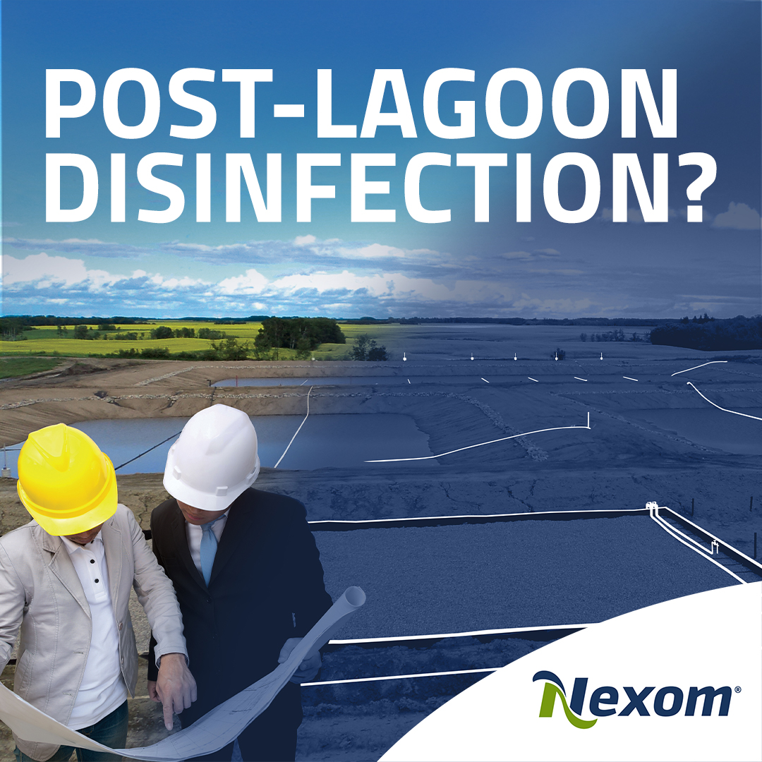 nexomwastewater's tweet photo. Putting a SAGR® after your #lagoons doesn’t just produce non-detect ammonia, it also polishes BOD and TSS and even removes coliforms so effectively it can make further #disinfection unnecessary! 
Learn more about our reliable disinfection treatment here: https://t.co/dLRL4MeXjd https://t.co/DTWfDTDwoS