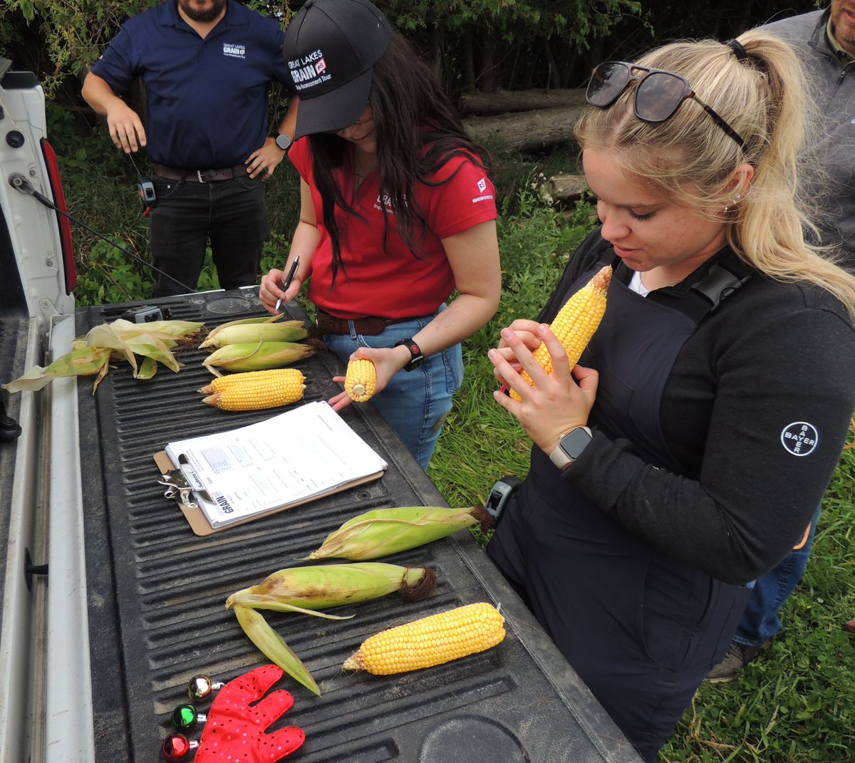 CoopEmbrun's tweet photo. 🌽 Notre équipe au travail sur le terrain !
Une belle journée, de la bonne compagnie... et un peu de plaisir en prime ! 

🧢 Défi du jour 3 : « Tout sauf une casquette » — mission accomplie ✅
Maintenant, en route pour le jour 4 ! 🚜🌱
--
🌽 Our team hard at work in the field!
Great day, great company... and a little fun along the way!

🧢 Day 3 Challenge: Anything but a Ball Cap Challenge — completed ✅
Now, on to Day 4! 🚜🌱
#GLGTour2026 #CoopEmbrun #Ontag