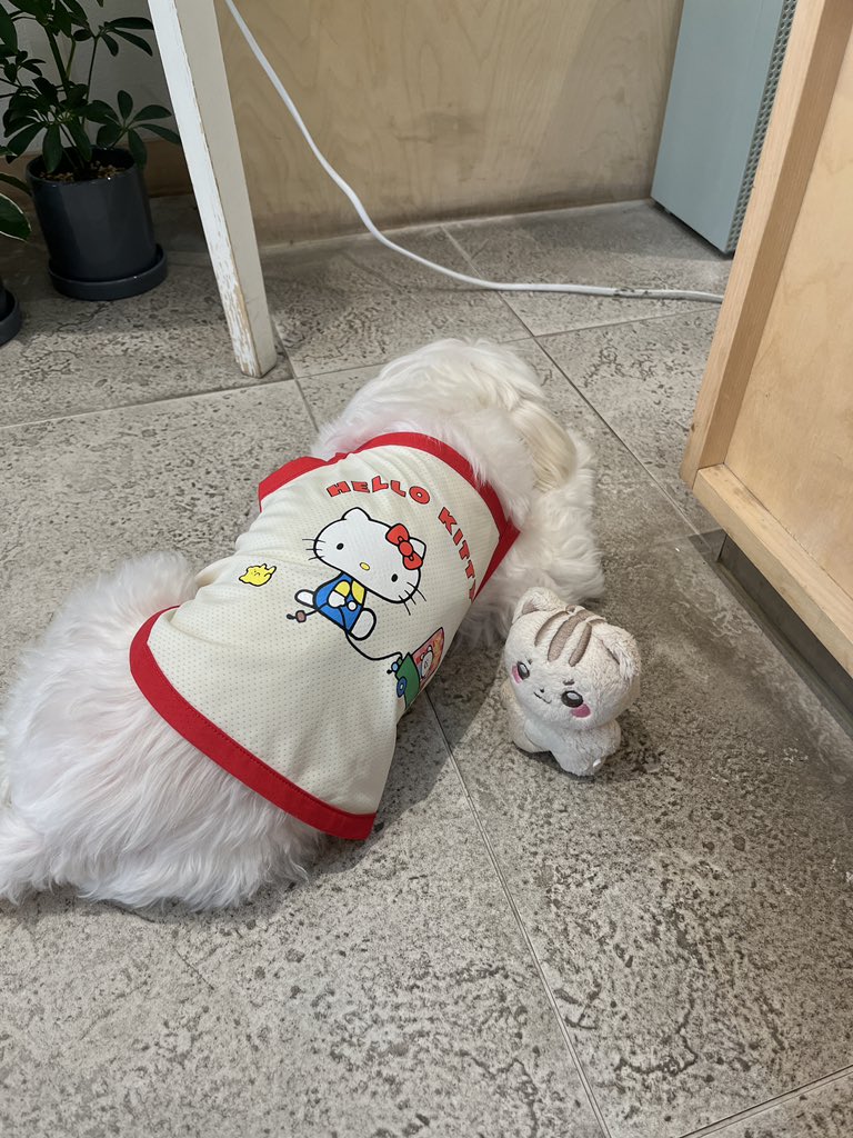 NewLem0n's tweet photo. 有點想念上個月見到的寶寶
小太陽超親人⋯ https://t.co/GOfYDEeRtA