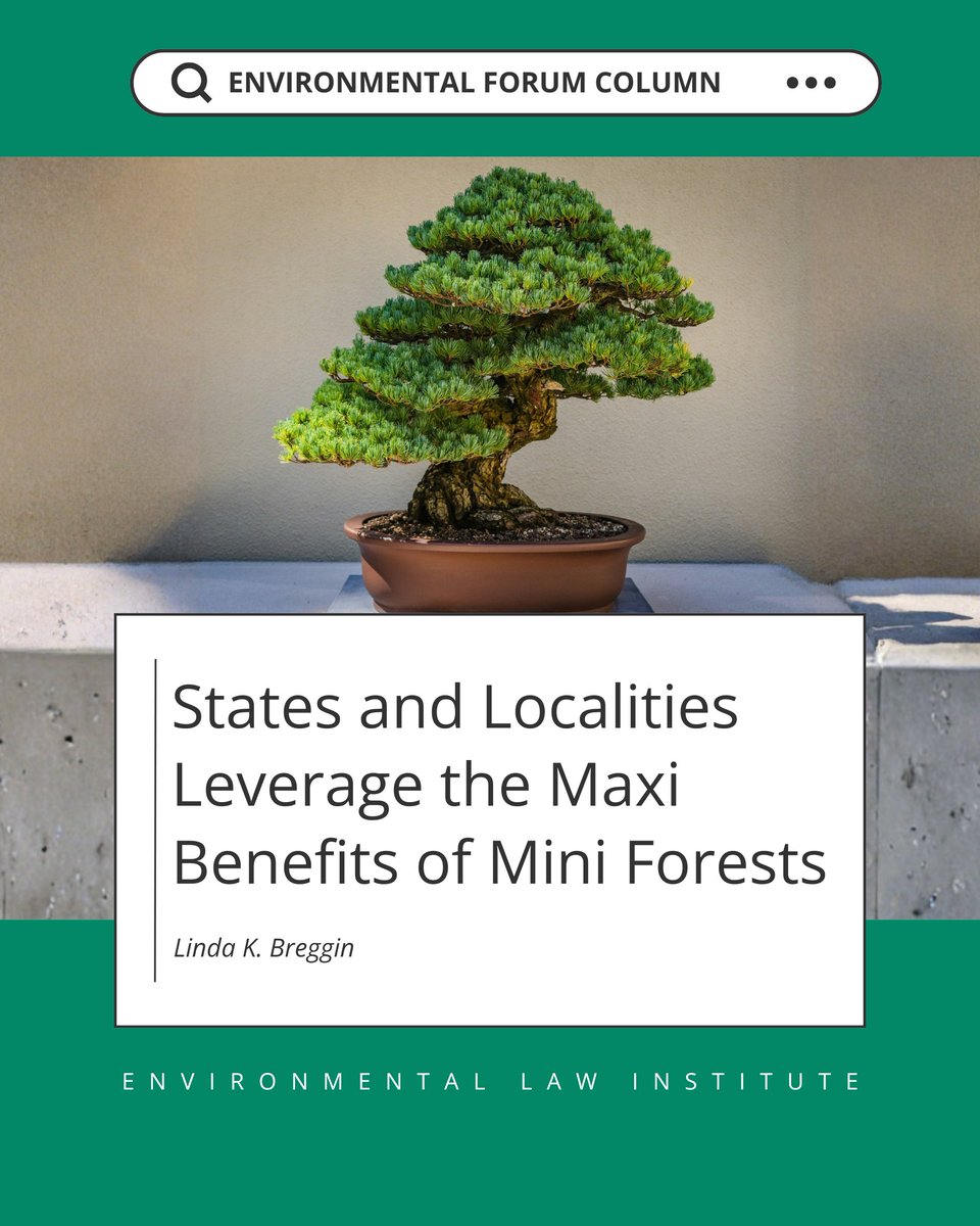 ELIORG's tweet photo. Mini forests are taking root. 🌱 These multi-layered ecosystems offer a range of both environmental and health benefits.

Our new Environmental Forum explores how mini forests are being incorporated—and why continued evaluation matters.

Read it here: https://t.co/K1zbBrw026 https://t.co/suaU8M67Dx