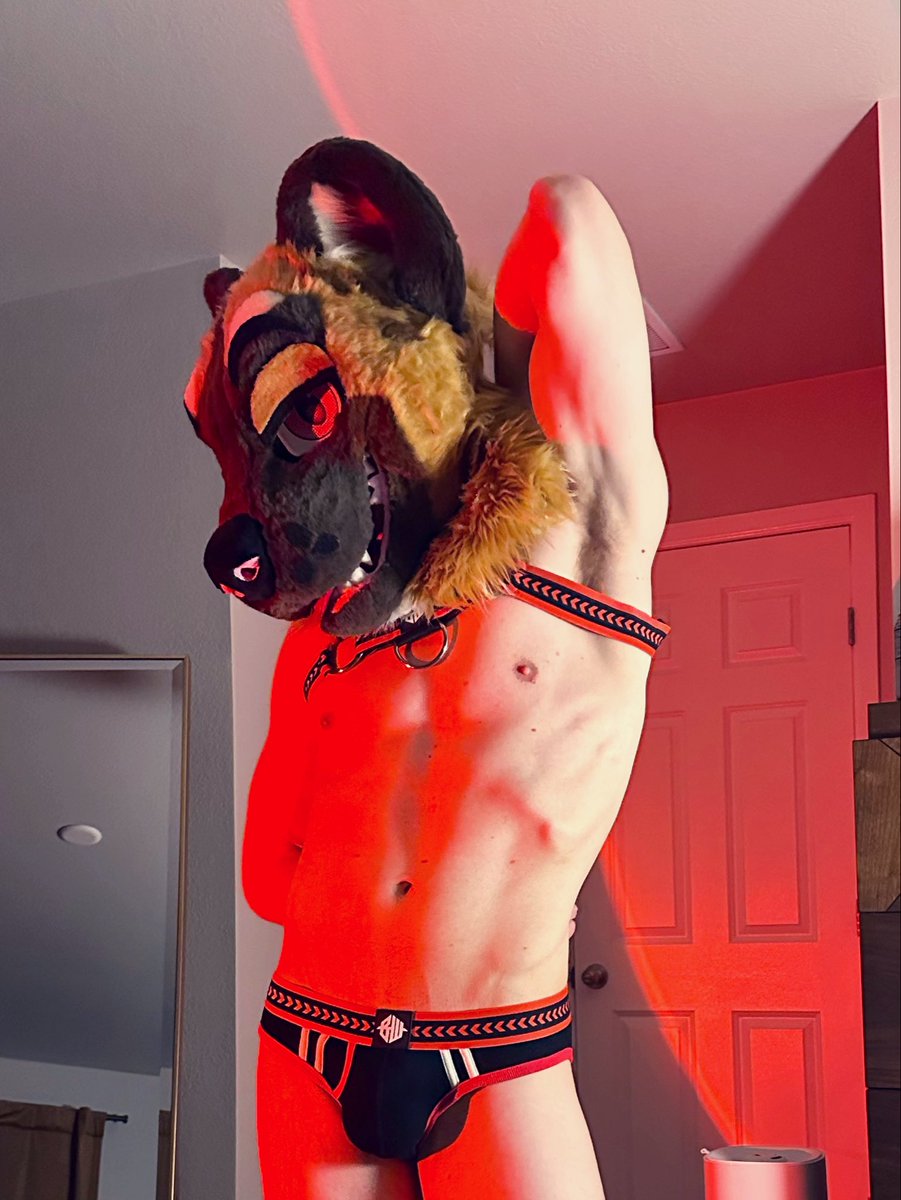 RookYeenAD's tweet photo. Guess who’s a musky yeen that got just got back from the gym? Wanna huff? https://t.co/6DawomnWNT