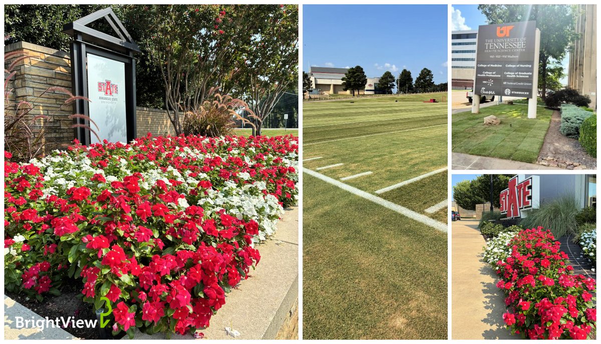 BrightView's tweet photo. As students return for a new year, school campuses are coming back to life and well-maintained landscapes help set the stage for the year ahead. Our teams take pride in keeping campus landscapes healthy and welcoming, creating outdoor spaces that everyone can enjoy all year. https://t.co/AUbUGMYj1u
