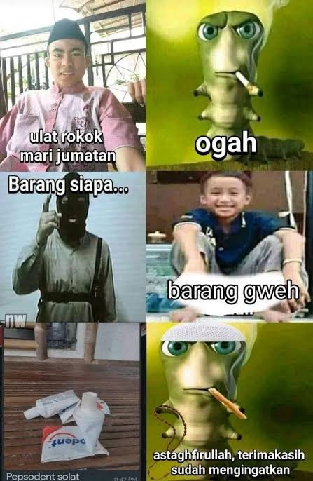 cannaliculus's tweet photo. @sehyukt gini ya, Calla https://t.co/KUIMhWvMnR