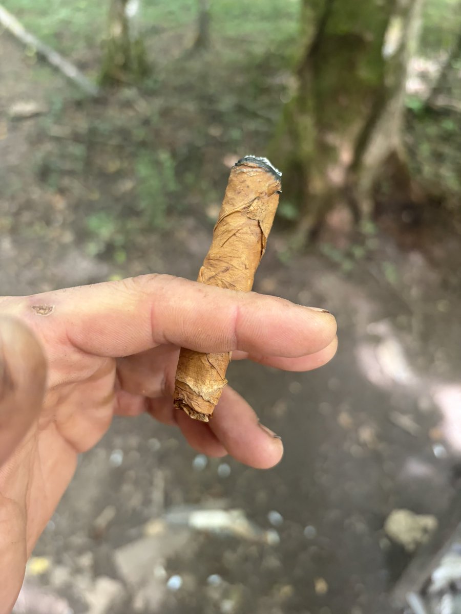cdxxotus's tweet photo. J’utilise une demi feuille de tabac. Plus possible de fumer une clope, et même un pétard c’est plus vraiment nécessaire bien que la DZ régale de 40 produits au catalogue. 
@EmmanuelMacron vous faites chié à avoir interdit sa vente depuis le 1er janvier c’est vraiment meilleur que la clope au moins de façon perçue.