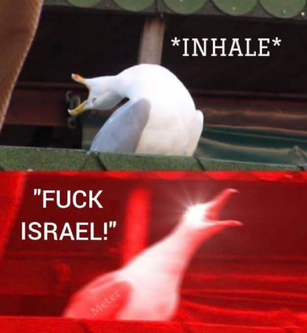FreeBirdsFree1's tweet photo. @HindutvaDon_ Fuk Israel https://t.co/6dkjpVtTq5