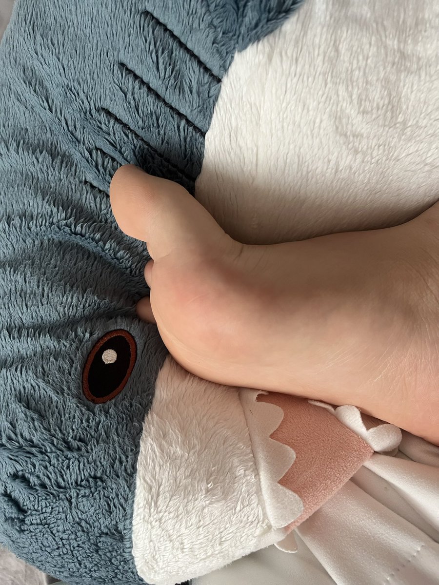 ca322241's tweet photo. 为什么你们都有对象，我也想要对象（wwwww😭😭😭（不是药凉喵，是觉得鲨鱼可爱才拍的） https://t.co/xayQ3SABGB