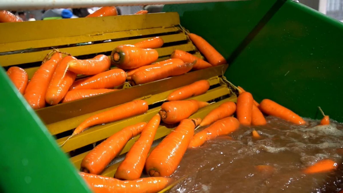 saghonduras's tweet photo. 🥕🇭🇳 ¡Del campo a nuevos mercados!

#Programamitierra
#Funder 
#SAG

Lee la nota completa aquí 👇

https://t.co/mJ9FIL2OnA https://t.co/4N2nuJsJMi
