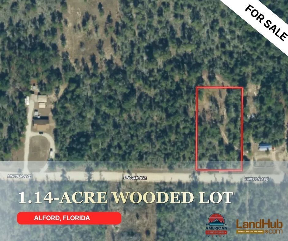 landhub's tweet photo. 1.14-ACRE WOODED LOT IN COMPASS LAKE | JACKSON COUNTY, FL
OWNER FINANCING AVAILABLE!
🏡 Great potential for a future homesite
🚐 Potential for a mobile home
CONTACT AGENT 👉 https://t.co/q9g7guSEq4
#ownerfinancing #acreage #landforsale #woodedlot https://t.co/MRpIGsFrWW