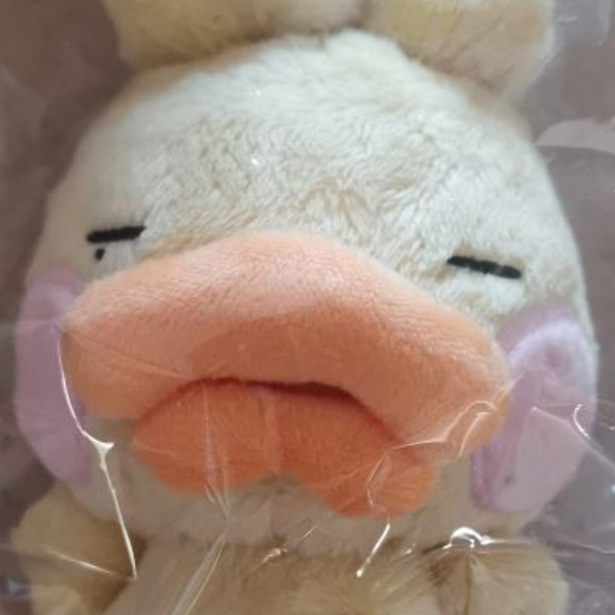 flyingdreamseed's tweet photo. 모른척 해주세요
근황 보여줄게
좀 봐줘 https://t.co/xMQSZB4dGm
