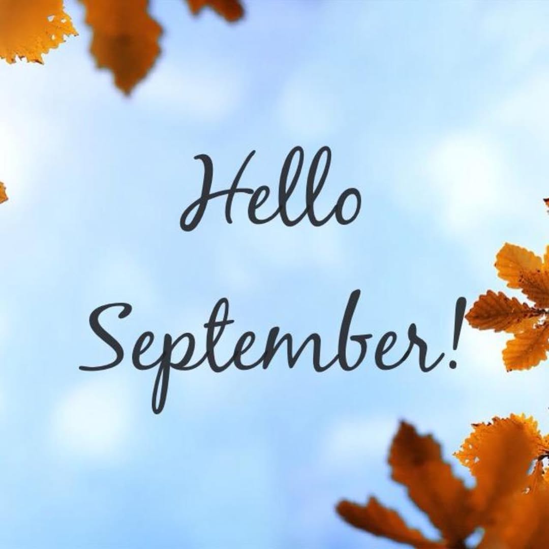 NY_FacePlace's tweet photo. September is here! It's time for Hydrating facials to restore sun-kissed skin.
Call us to book your appointment 516-294-9454
https://t.co/Vs5MuUtk1U
#September #Facials #selfcare #goodvibes #NYfaceplace #medspa https://t.co/ZTewVhTuoB