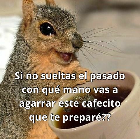 conoloracigarro's tweet photo. https://t.co/WpoXKW9UQf