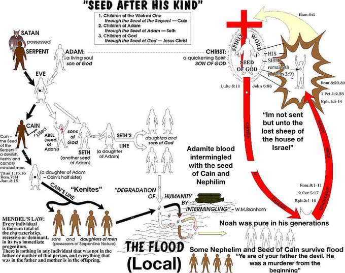 LexInvisibilum's tweet photo. Adultery Original Sin: 
Genesis 3:15; Genesis 4:1; Genesis 6:9; John 8:44; Rev 2:9. The Bible is a repeating message of redemption of spirit from corruption of the flesh. The garden, the tower, the flood. Our flesh is our weakness and the only level Satan can get to your soul. https://t.co/Fc5WGfLV5G