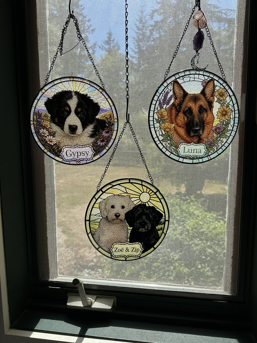 WhidbeyGypsy's tweet photo. #ThrowbackThursday
Our sun catcher window has Mom's heart ❤️ dog Gypsy as a puppy in '93, our beloved Luna & us!
Above Luna hang rose & amethyst quartz crystals, a moon & star.
#PostAFavPic4VioletSep26
Aug 3: Begins with "Q"...QUARTZ
#dogsofBlueSky
#Hedgewatch
#ZipAndZoë https://t.co/gMkn7mhnox