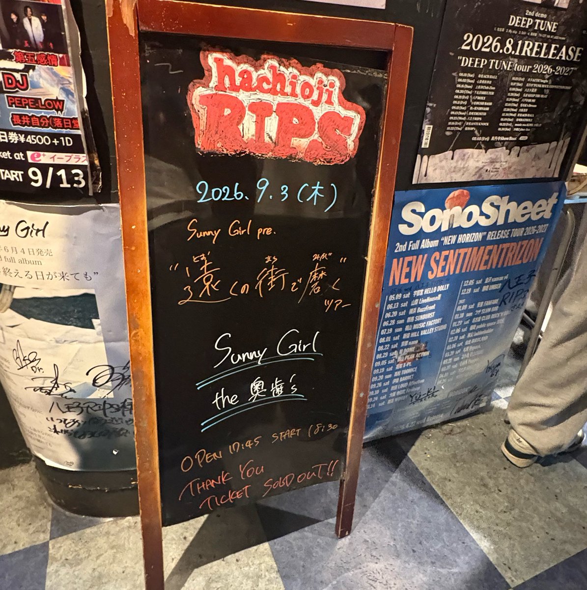 pcha57's tweet photo. サニガも奥歯も仲良しこよしでにこり😽沢山大丈夫って言ってもらえたから明日からもまた生きるの頑張るぞ〜〜 https://t.co/SbiK3z1SWf