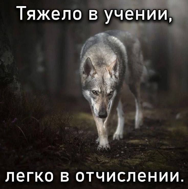wtfff677's tweet photo. это мы @lixsfeli https://t.co/dPDg51KzO9