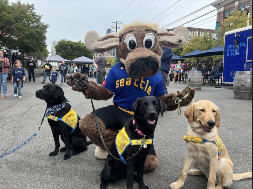 canineorg's tweet photo. 🐾DogFest™ season is officially here - it's a free and dog-friendly party with vendors, music and more to ensure more people with disabilities are matched with #servicedogs at no cost. 🐕🦺🥳
➡️Visit: https://t.co/VVXoFGjfNB
#caninedogfest #dogs #servicedog #freeevent https://t.co/DNgqBiywwj