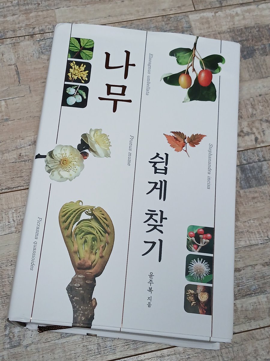 Zdrfvyhnko's tweet photo. #서평단스콘 #진선북스 #나무쉽게찾기 

자생수목과 조경수목 817종의 나무 모양, 잎, 꽃, 열매, 나무껍질, 겨울눈 등의 정보가 담긴 나무 도감

이 책 속 나무들을 소설의 배경 속에 등장하는 나무들로 묘사해보는 연습을 하려고 해 ✍️ https://t.co/dAxyQeckYn