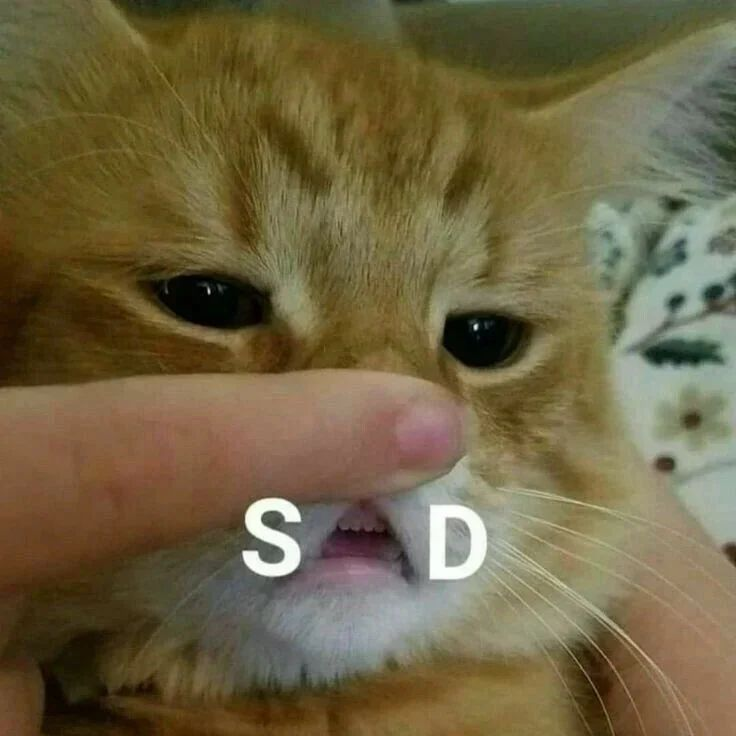 PunchingCat's tweet photo. https://t.co/rssWZYC2eF