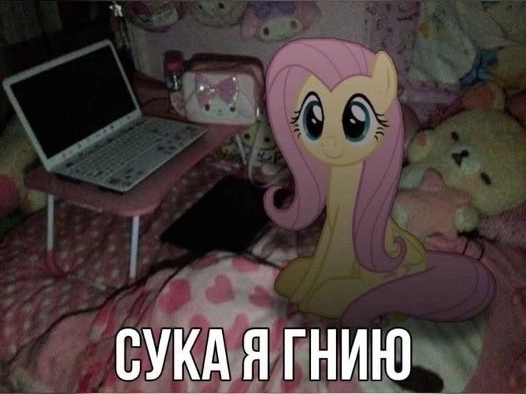 autkrap's tweet photo. https://t.co/Z50guLzIRG