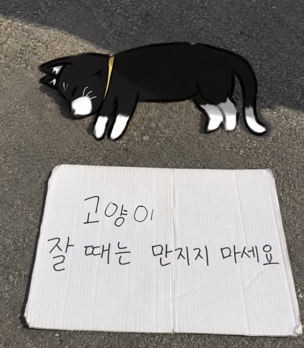 Ddong_space's tweet photo. 동물 잘 안그려서 어떻게그리는지 모르겟네 https://t.co/94aeH45vFe