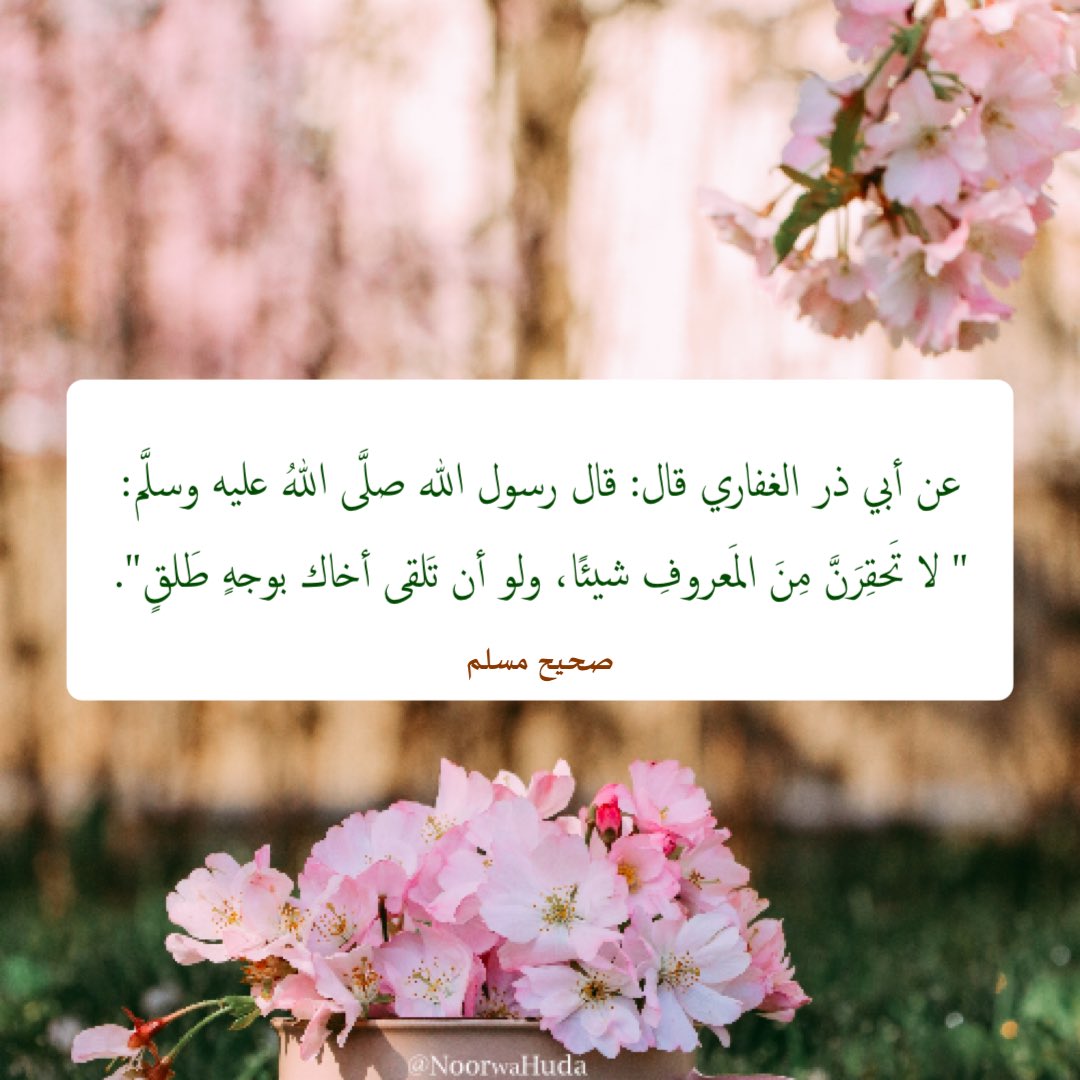 noorwahuda's tweet photo. قال ﷺ:" لا تحْقِرَنَّ من المعرُوفِ شيْئًا ، ولوْ أنْ تلْقَى أخاكَ بوجْهٍ طلْقٍ"

#الجمعة #ليلة_الجمعة #الصلاة_على_النبي #اللهم_صل_وسلم_على_نبينا_محمد
@islamic_pic @R_t_d3wa @RTwit_1 @Retwit_islam @ya_allah_2 @___do3a @al3yasheee @yaz__7 @nabelh50 @Jouri_45 @nawala60 https://t.co/6DWDbiNxZw