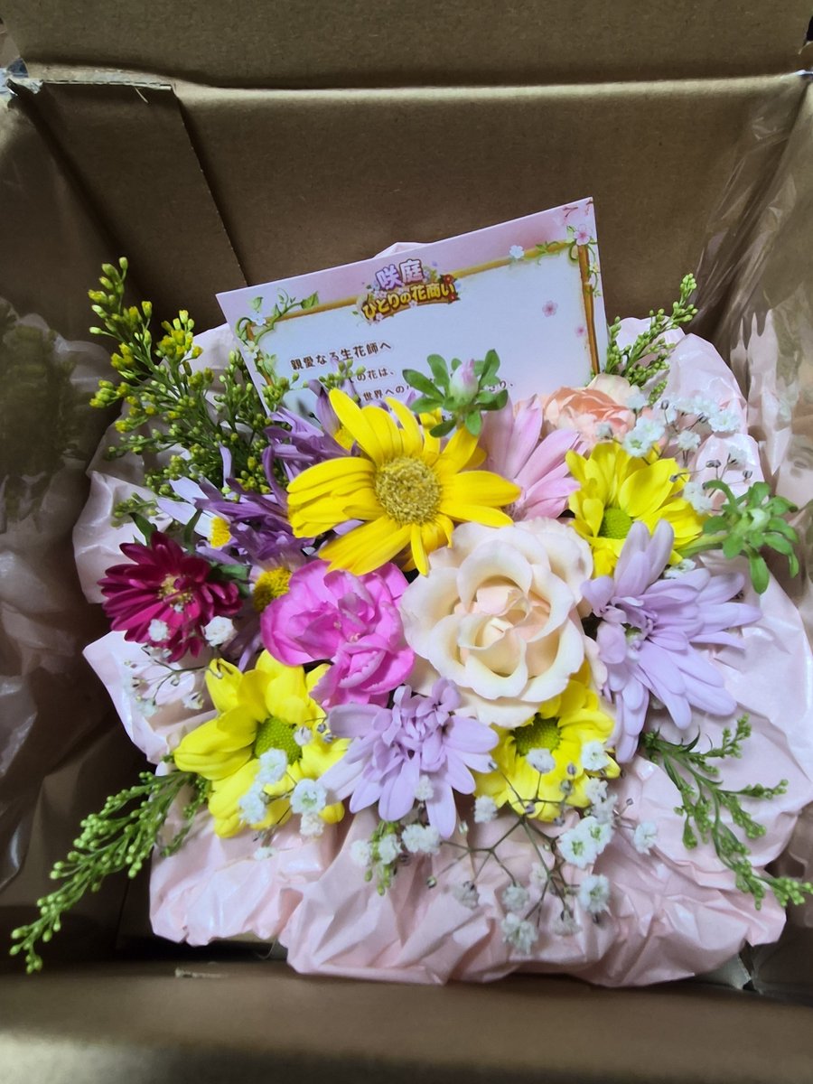 hanw3w27's tweet photo. 8月up忘れてたわ💦
8月も素敵なお花届きました🌺･｡🌼｡･ﾟ🍀･｡🌺｡･ﾟ
当選者減ってるからもう当たらないかもなぁ…(*´．．)ｼｮﾎﾞｰﾝ

#咲庭 https://t.co/Tq1WEGbJr5